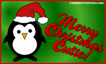 Christmas Cutie picture