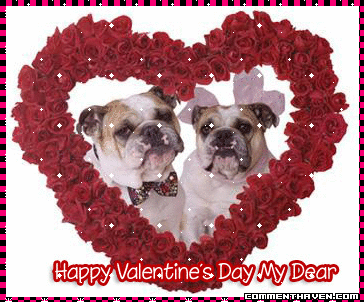 Vday picture
