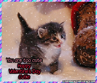 Vday picture