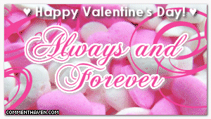 Vday picture