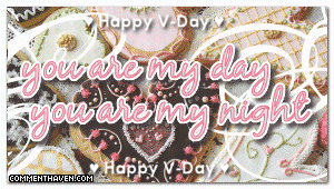 Vday picture