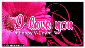 Vday picture