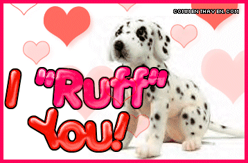 Vday picture