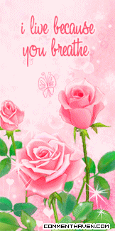 Beause You Breathe picture