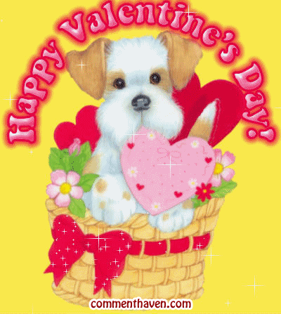 Vday picture