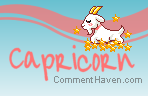 Capricorn Mini Pixel picture
