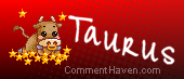 Taurus Mini Pixel comment