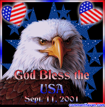 God Bless Usa Eagle picture