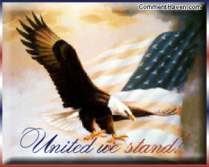 United We Stand Eagle comment
