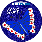 Usa Buterfly picture for facebook