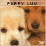 Icon Animal picture