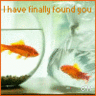 Icon Animal picture