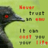 Icon Animal picture