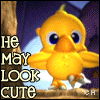 Icon Animal picture