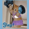 Icon Animal picture