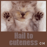 Icon Animal picture