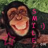 Icon Animal picture