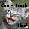 Icon Animal picture