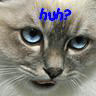 Icon Animal picture