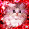 Icon Animal picture