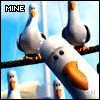 Icon Animal picture