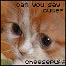 Icon Animal picture