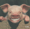 Icon Animal picture