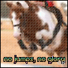 Icon Animal picture
