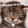 Icon Animal picture