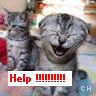 Icon Animal picture