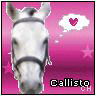 Icon Animal picture