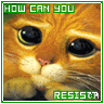 Icon Animal picture