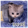Icon Animal picture
