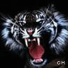 Icon Animal picture
