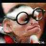 Icon Animal picture