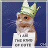 Icon Animal picture