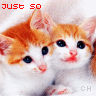 Icon Animal picture