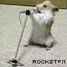 Icon Animal picture
