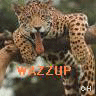 Icon Animal picture