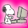 Icon Animal picture