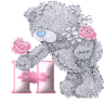 Icon Animal picture