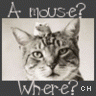 Icon Animal picture