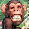 Icon Animal picture