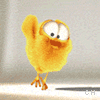 Icon Animal picture