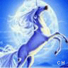 Icon Animal picture