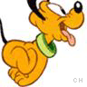 Icon Animal picture