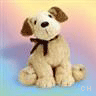 Icon Animal picture