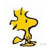Icon Animal picture