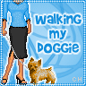Icon Animal picture