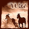 Icon Animal picture